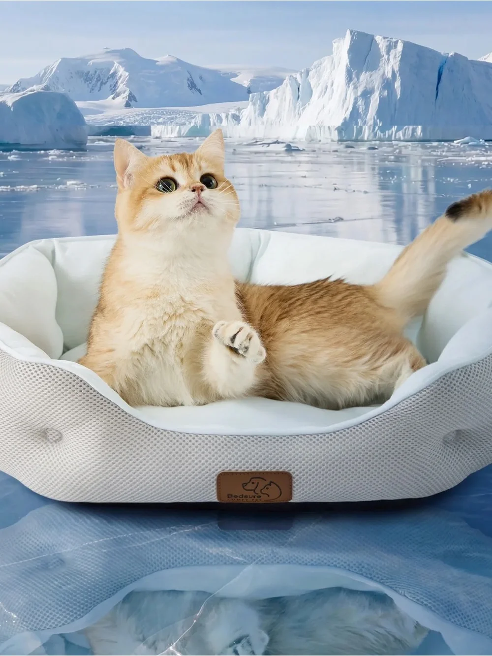 BEDSURE SIZE SMALL COOLING PET BEDS ❗️🩵🧊❄️🐾 FOR DOGS OR CATS VERY COOLING